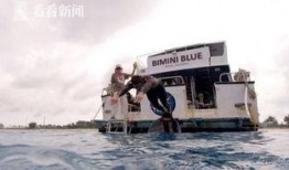 白鲨爆料比赛视频大全集,比赛视频大全集精彩瞬间回顾