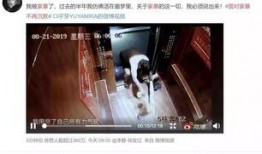 最新爆料家暴男子是谁啊,涉事男子身份曝光