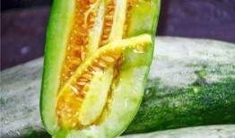 盐城吃瓜网红是谁,瓜界风云人物